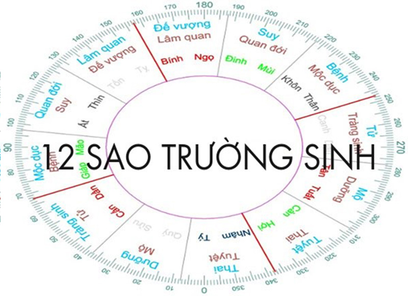 12-sao-truong-sinh